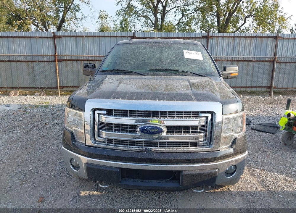 2013 FORD F-150 VIN: 1FTFW1EF8DFD59742