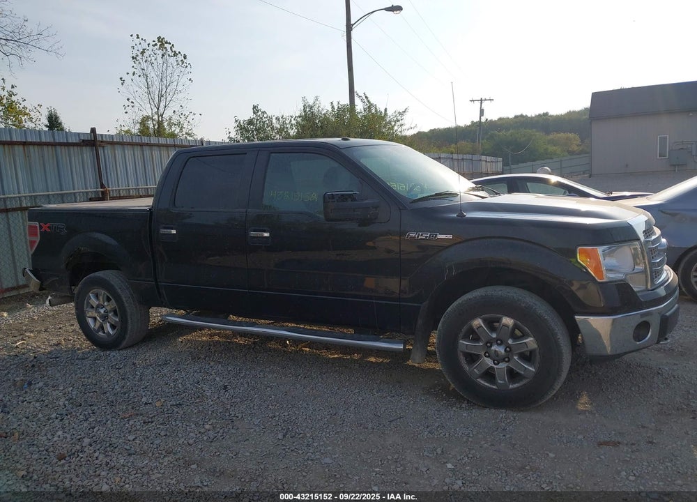 2013 FORD F-150 VIN: 1FTFW1EF8DFD59742
