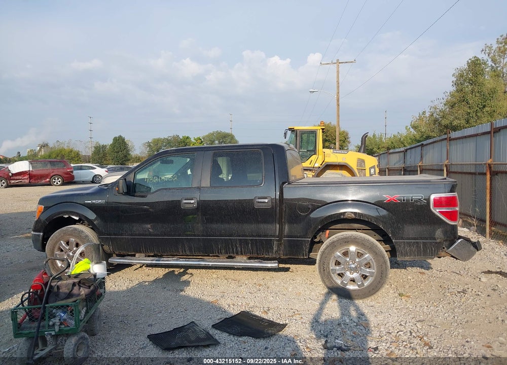 2013 FORD F-150 VIN: 1FTFW1EF8DFD59742