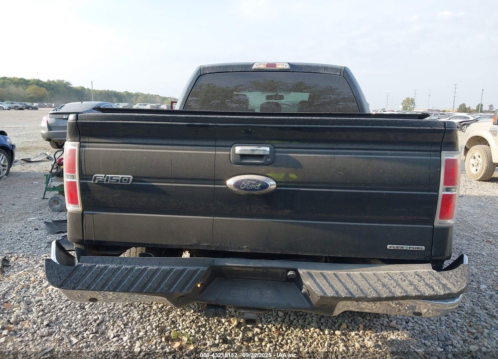 2013 FORD F-150 VIN: 1FTFW1EF8DFD59742