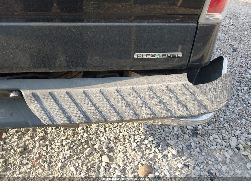 2013 FORD F-150 VIN: 1FTFW1EF8DFD59742