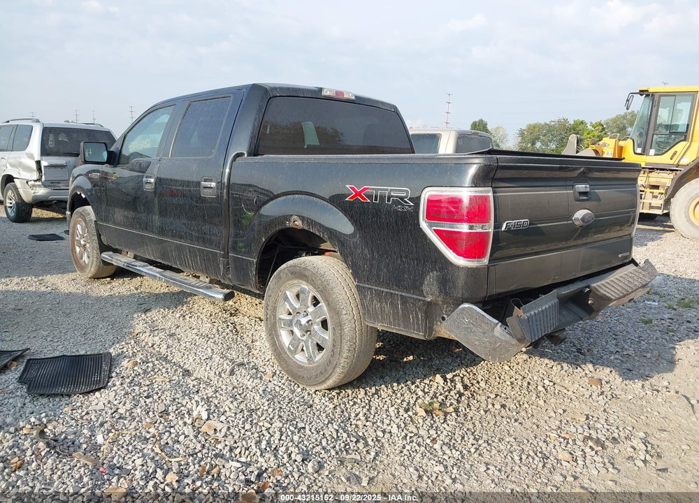 2013 FORD F-150 VIN: 1FTFW1EF8DFD59742
