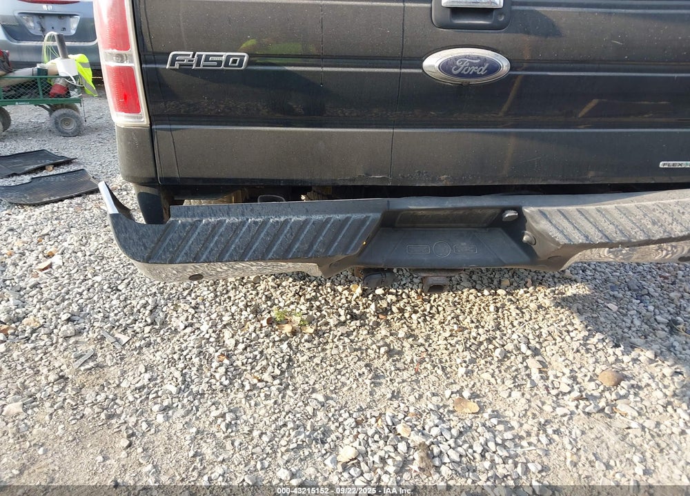 2013 FORD F-150 VIN: 1FTFW1EF8DFD59742