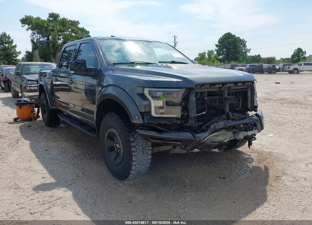 2017 FORD F-150 RAPTOR VIN: 1FTFW1RG2HFA96818