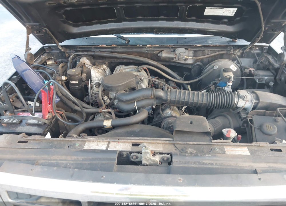 1995 FORD F150 VIN: 1FTEF14N8SNB53991