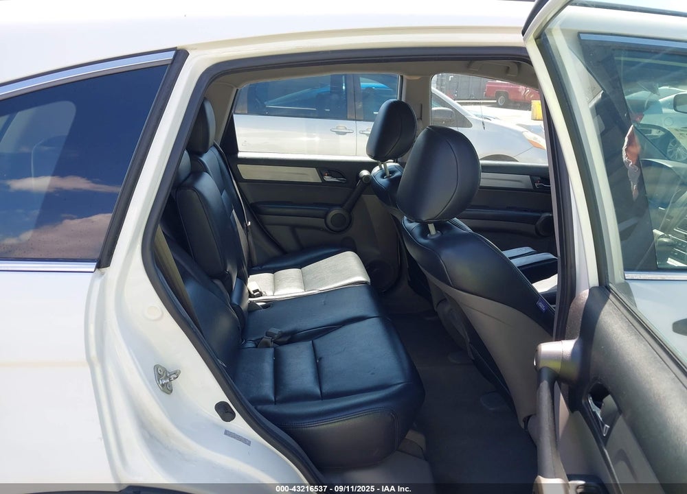 2010 HONDA CR-V VIN: 5J6RE3H39AL001392