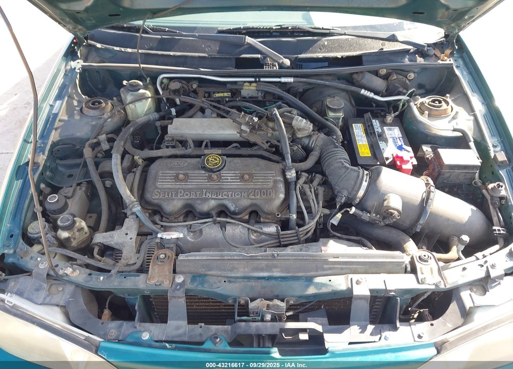 1998 FORD ESCORT SE/SPORT VIN: 1FAFP13P7WW241831
