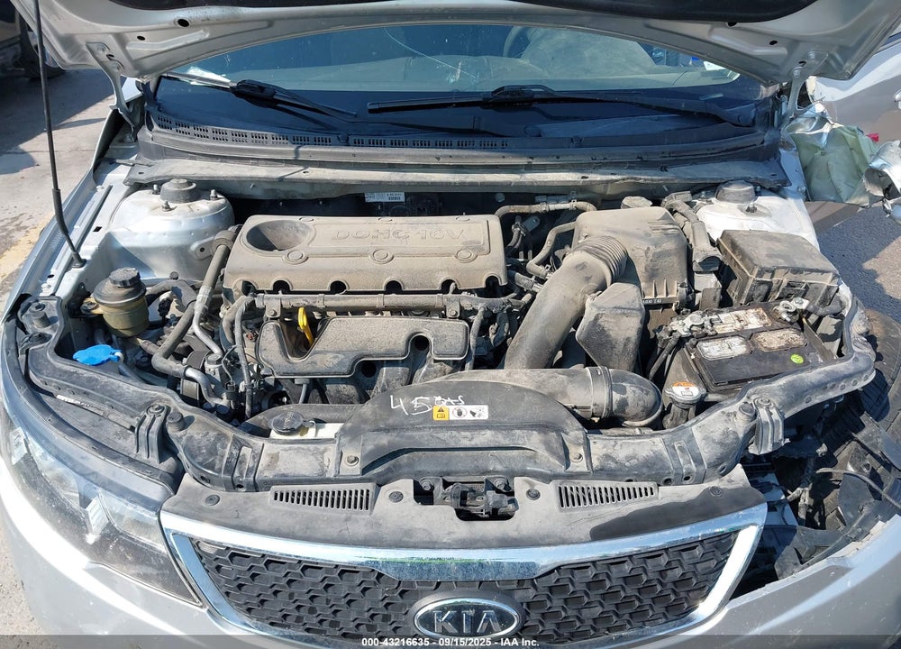 2013 KIA FORTE EX VIN: KNAFU5A25D5684559