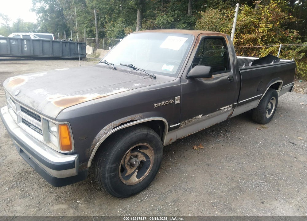 1989 DODGE DAKOTA VIN: 1B7GL26X9KS046486