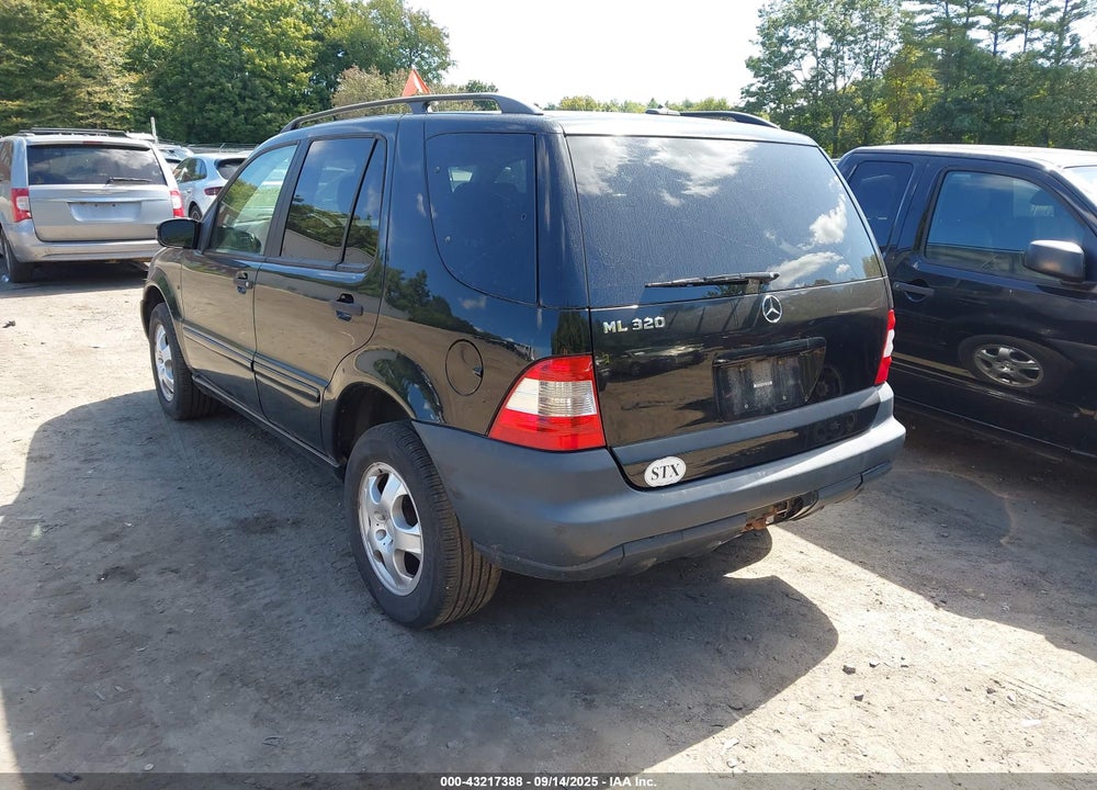 2002 MERCEDES-BENZ ML 320 VIN: 4JGAB54E62A341297
