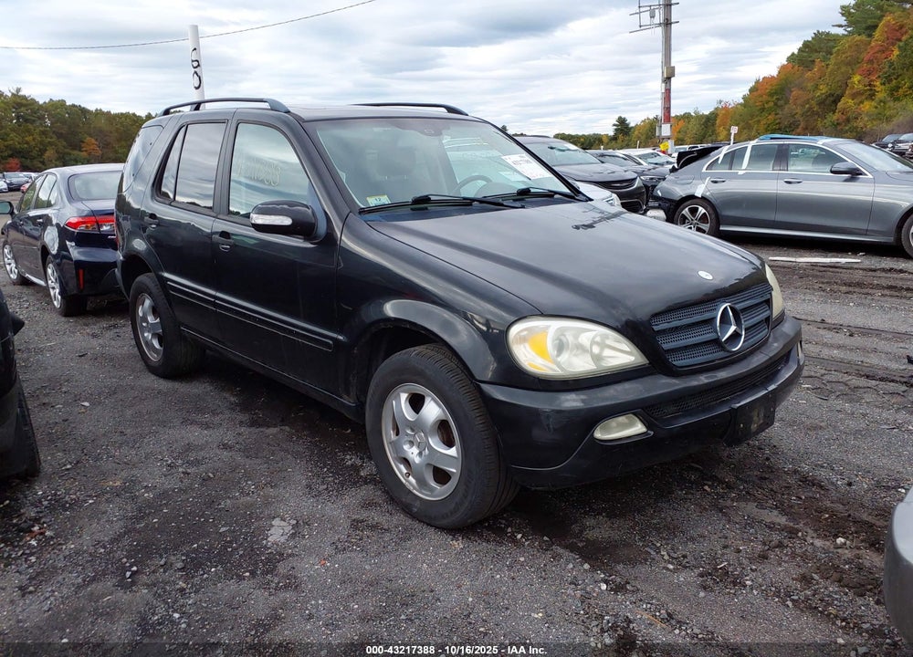 2002 MERCEDES-BENZ ML 320 VIN: 4JGAB54E62A341297