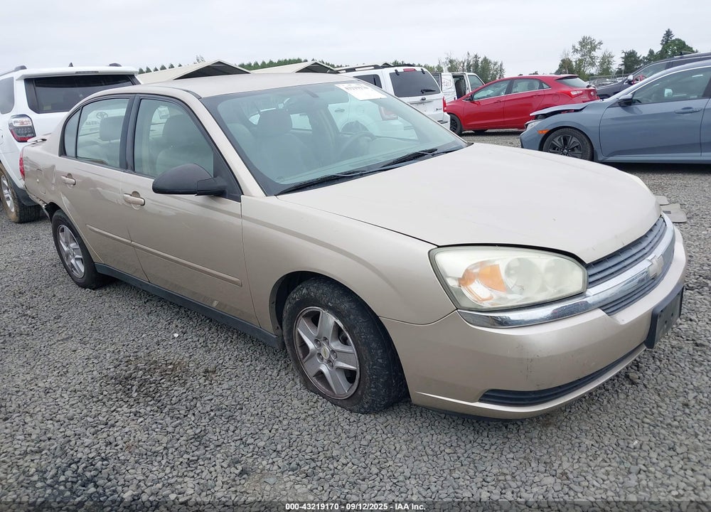 2005 CHEVROLET MALIBU LS VIN: 1G1ZT52815F116187