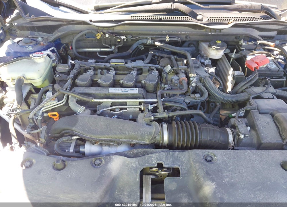 2020 HONDA CIVIC EX VIN: 2HGFC1F31LH681361