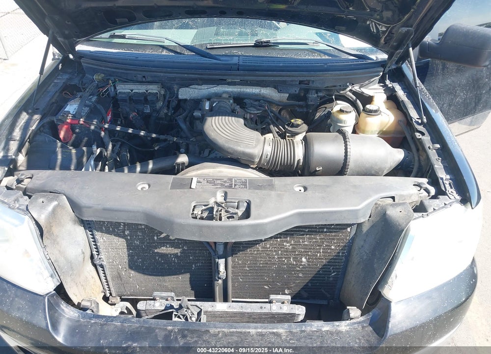 2006 FORD F-150 STX/XL/XLT VIN: 1FTRX14W46FB08599