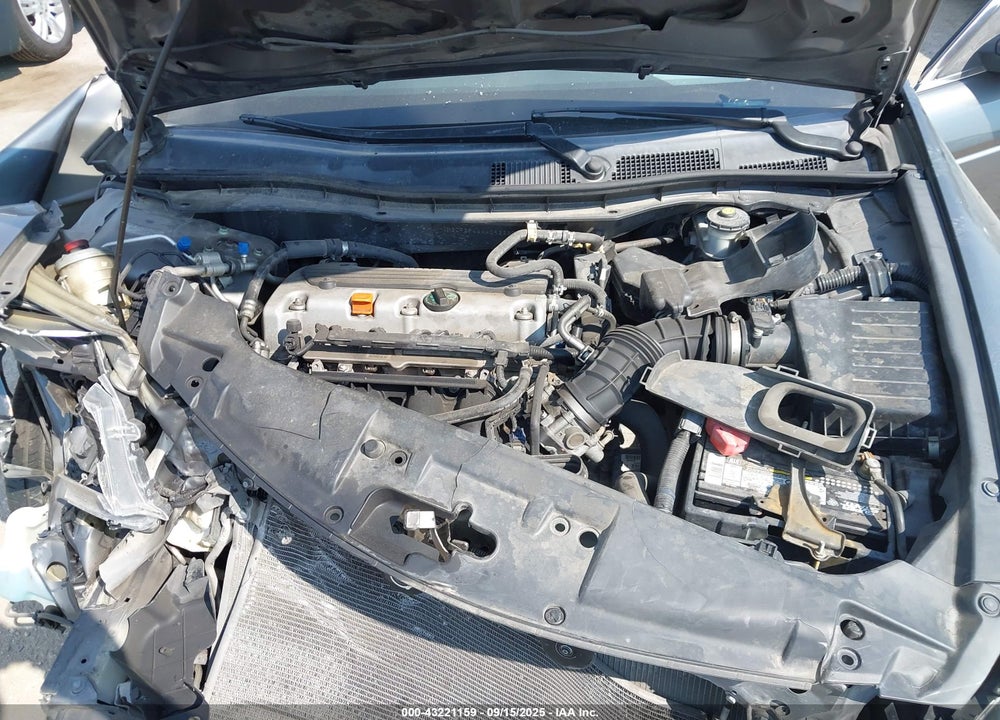 2010 HONDA ACCORD VIN: 1HGCP2F44AA093360