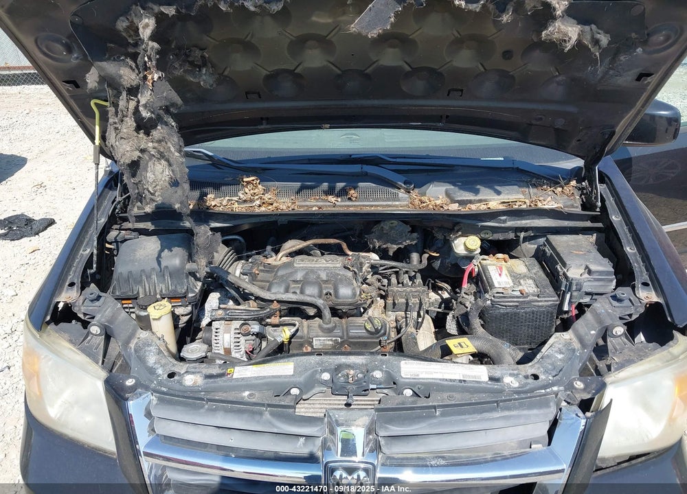 2010 DODGE GRAND CARAVAN SXT VIN: 2D4RN5D1XAR443937
