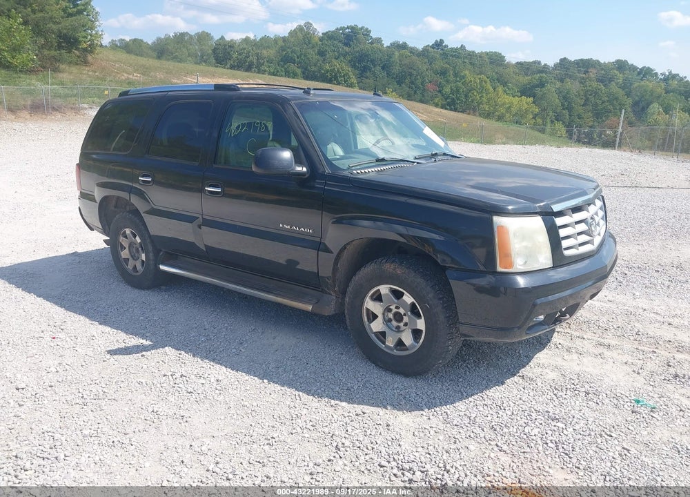 2003 CADILLAC ESCALADE STANDARD VIN: 1GYEK63N43R144400