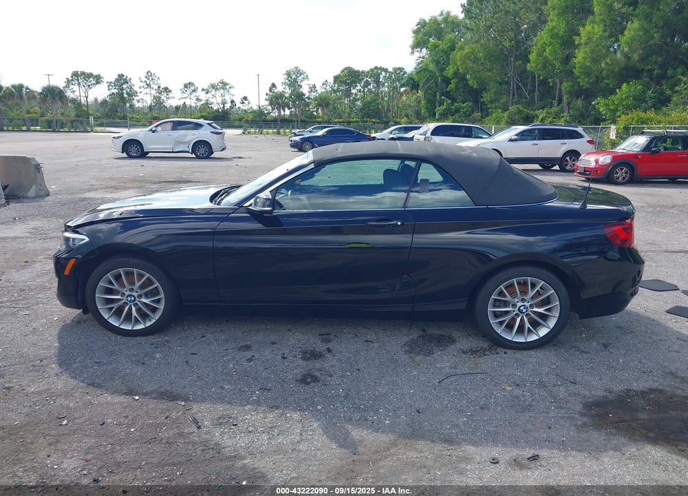 2015 BMW 2 SERIES VIN: WBA1K5C53FV474164
