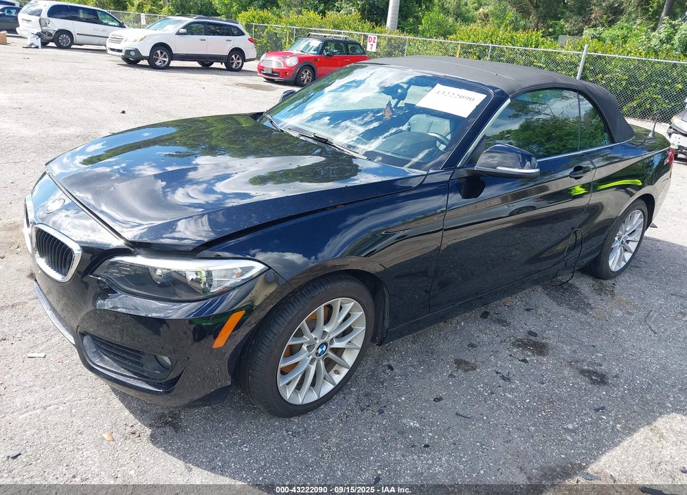 2015 BMW 2 SERIES VIN: WBA1K5C53FV474164