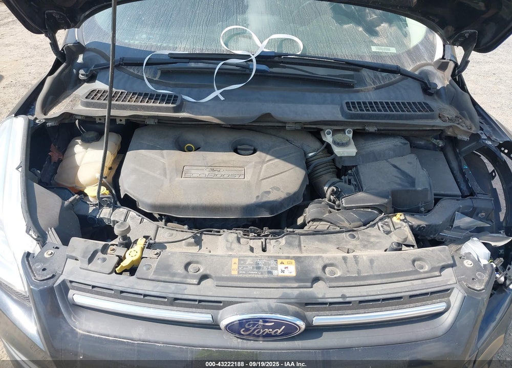 2014 FORD ESCAPE VIN: 1FMCU9G97EUB58308