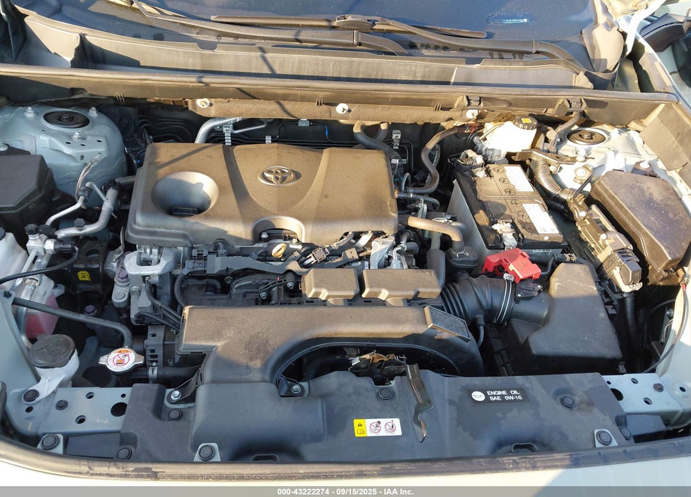 2021 TOYOTA RAV4 VIN: 2T3W1RFV9MW155856
