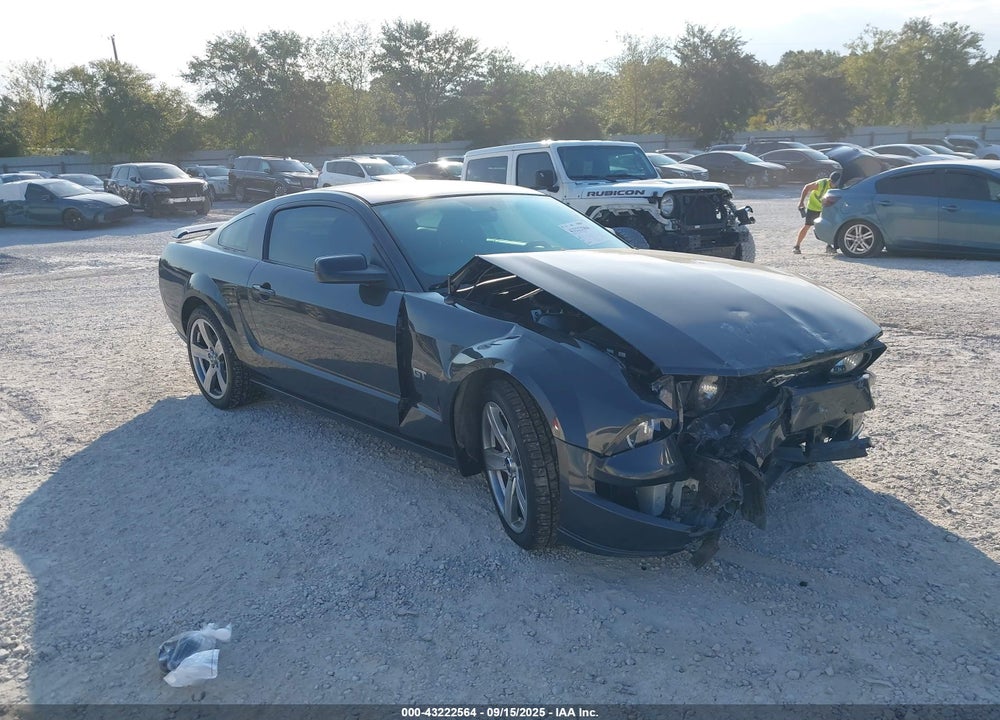 2007 FORD MUSTANG GT DELUXE/GT PREMIUM VIN: 1ZVFT82H575366744