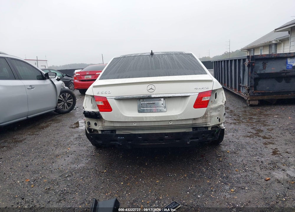 2010 MERCEDES-BENZ E-CLASS VIN: WDDHF9AB5AA114390