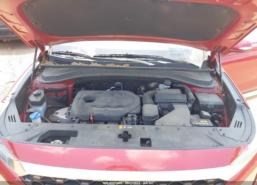 2019 HYUNDAI SANTA FE VIN: 5NMS53AD2KH006415