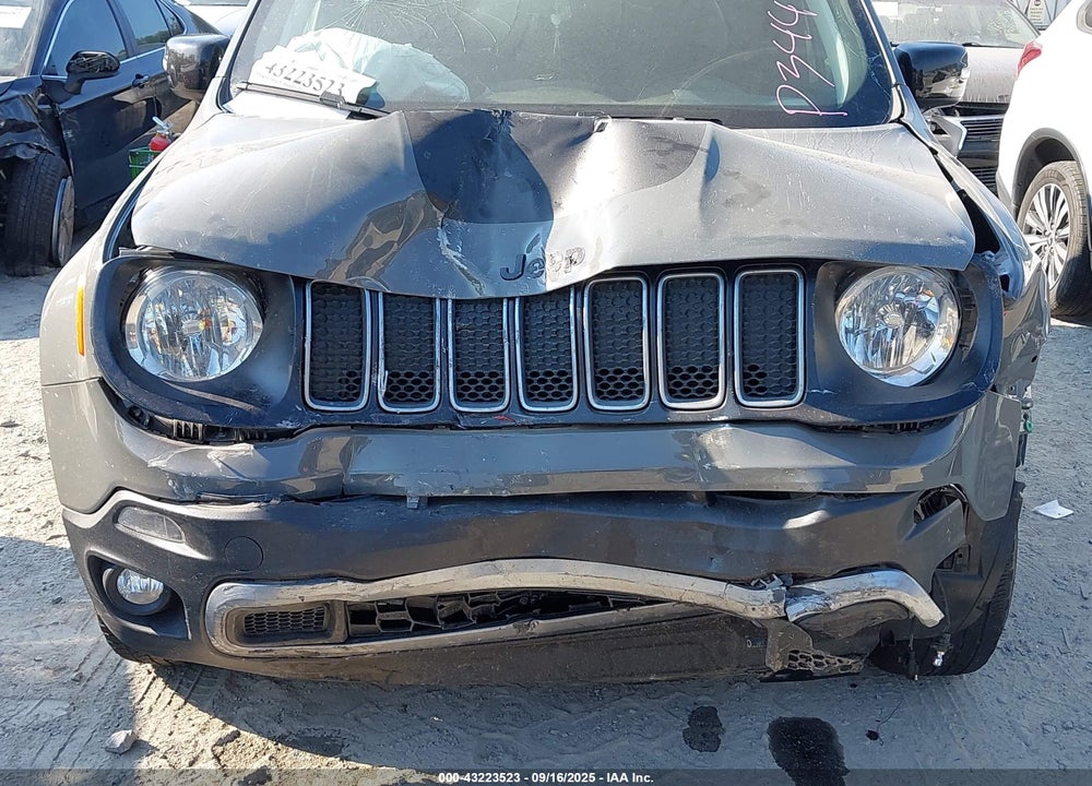 2023 JEEP RENEGADE VIN: ZACNJDB12PPP34432
