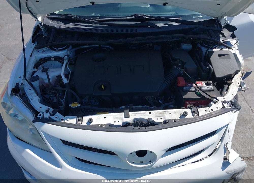 2011 TOYOTA COROLLA LE VIN: JTDBU4EE8B9163180