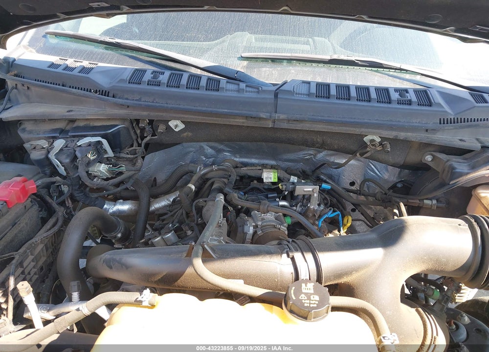 2020 FORD F-150 XLT VIN: 1FTEW1EP4LKD48540