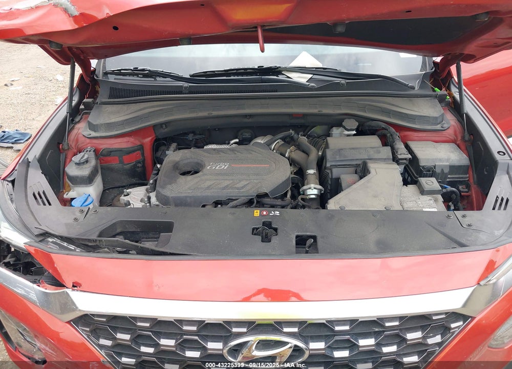 2020 HYUNDAI SANTA FE VIN: 5NMS3CAA9LH185033
