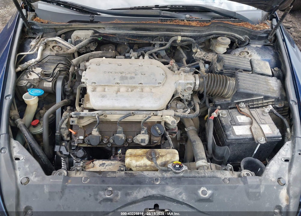 2005 HONDA ACCORD 3.0 EX VIN: 1HGCM66805A011343