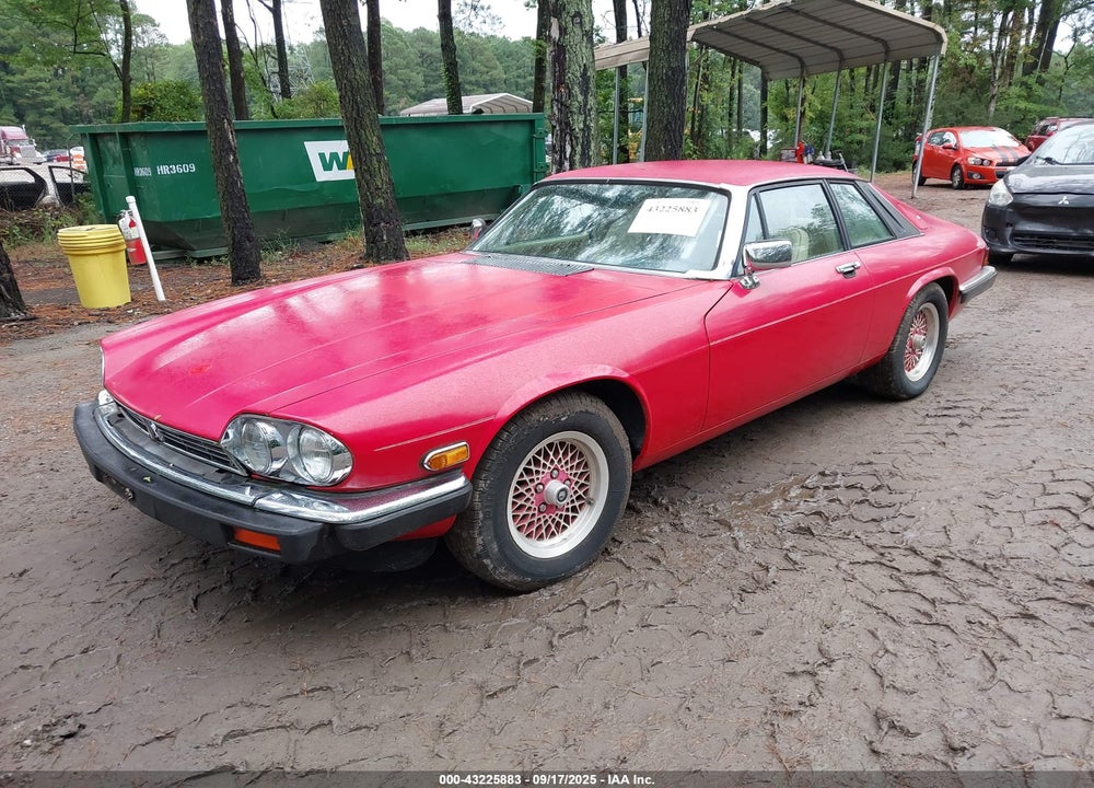 1989 JAGUAR XJS COLLECTION ROUGE VIN: SAJTY584XKC165132