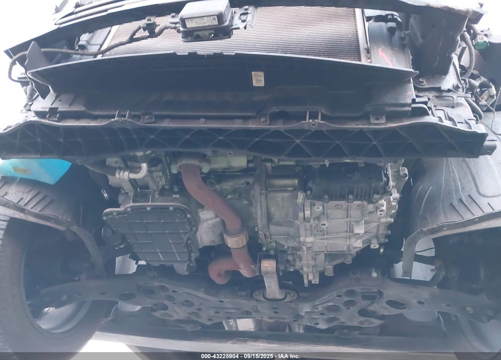 2019 KIA SORENTO 3.3L SXL VIN: 5XYPK4A5XKG566769