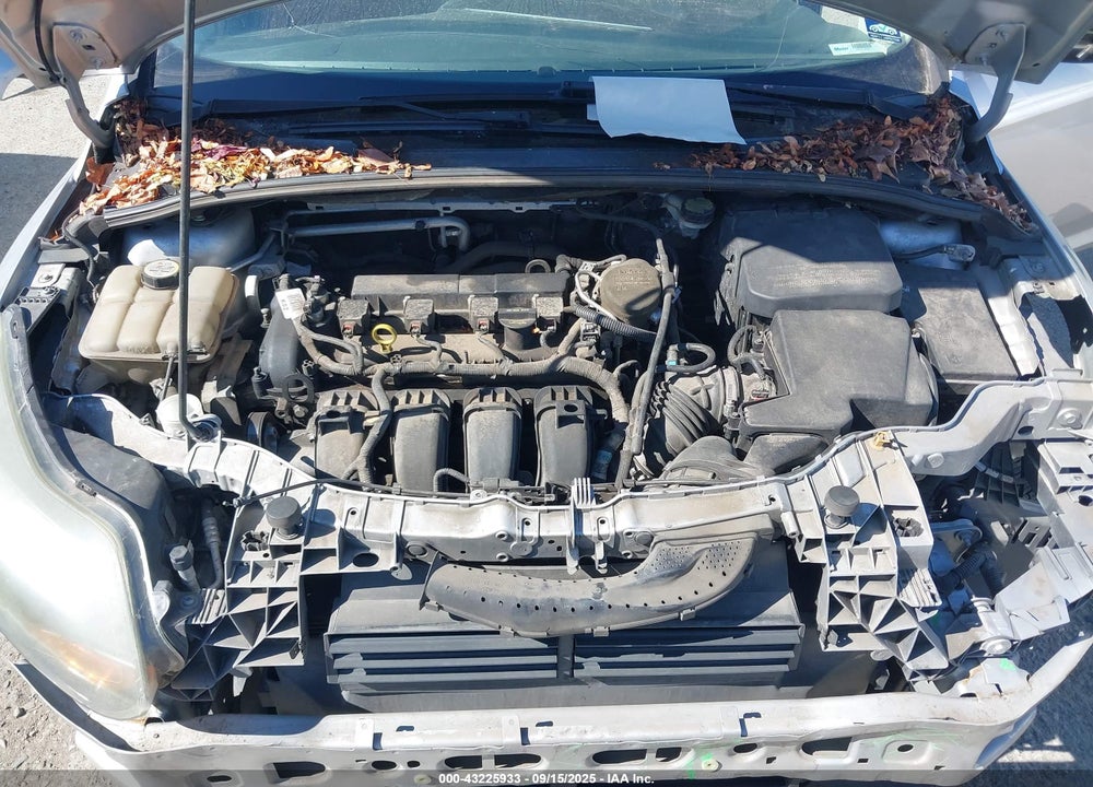 2013 FORD FOCUS VIN: 1FADP3N24DL277026