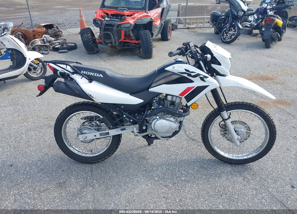2023 HONDA XR150L E VIN: 3H1KD1310PD005645