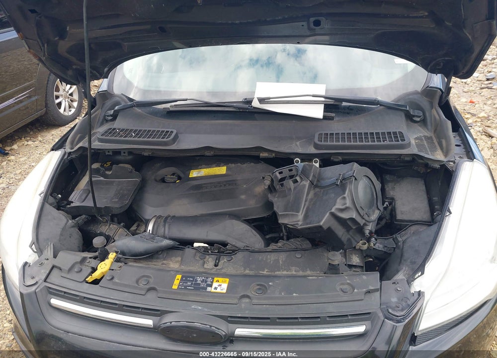 2013 FORD ESCAPE SE VIN: 1FMCU0GX3DUC24281