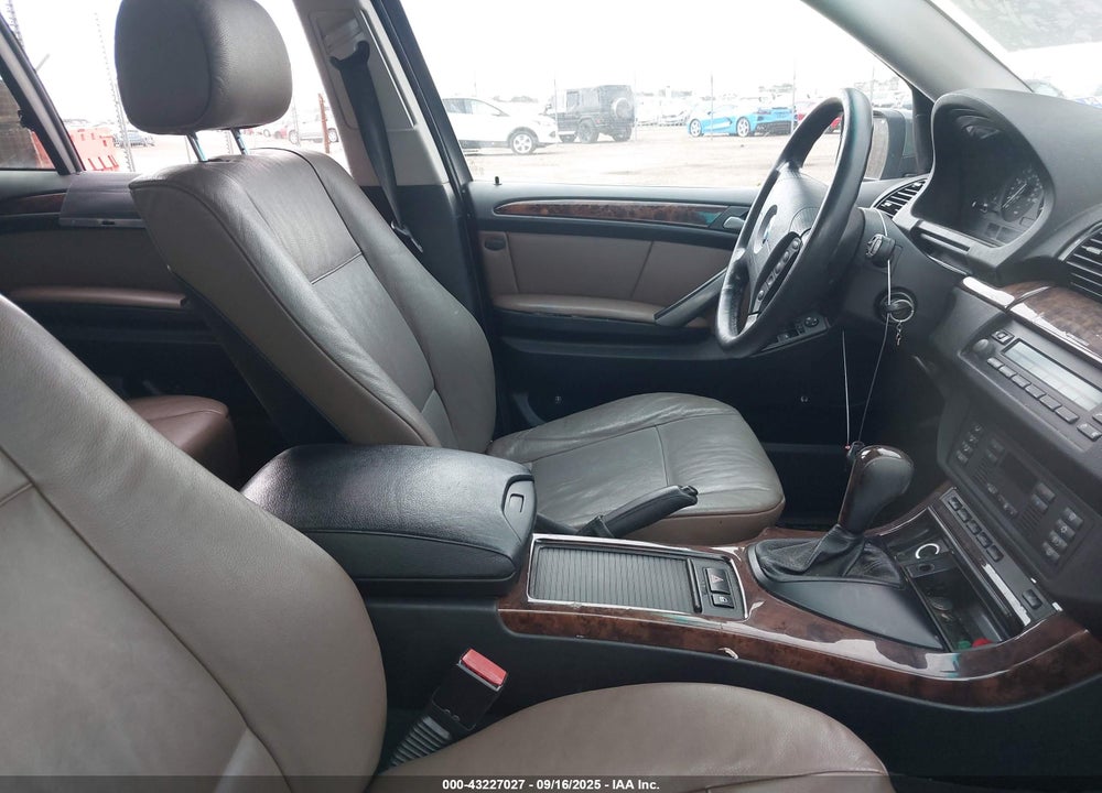 2006 BMW X5 VIN: 5UXFA13566LY25499