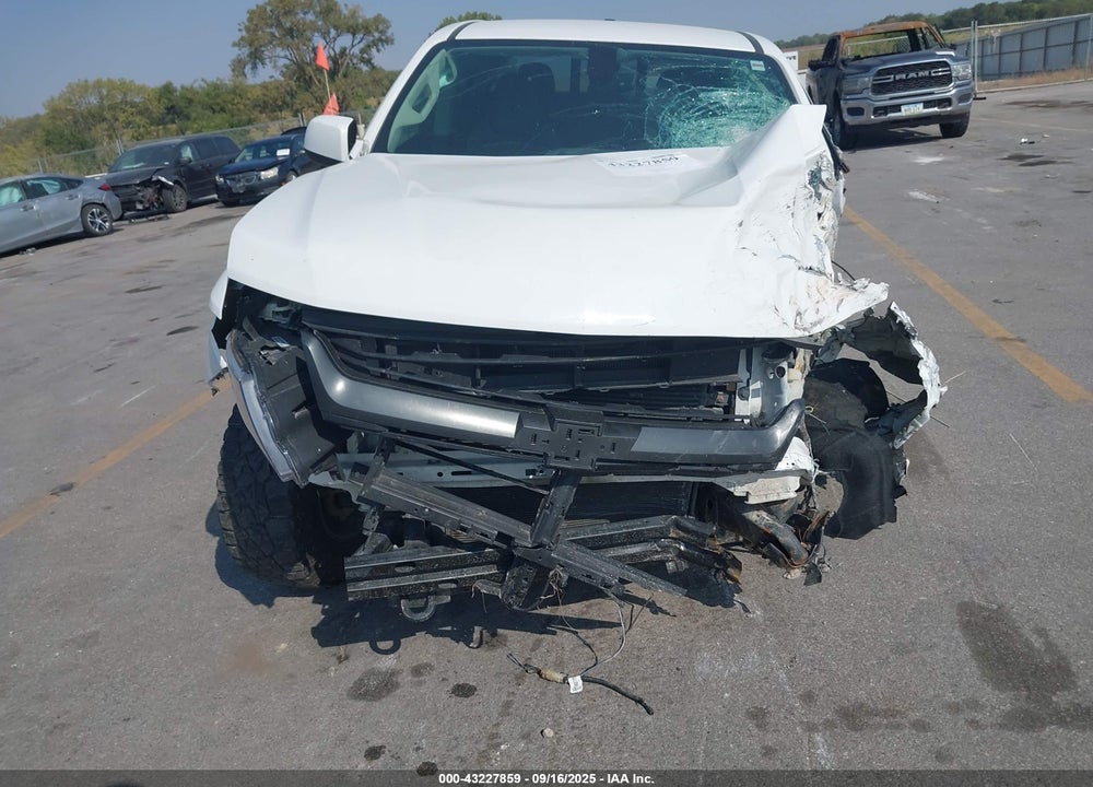 2019 CHEVROLET COLORADO Z71 VIN: 1GCGTDEN1K1141139