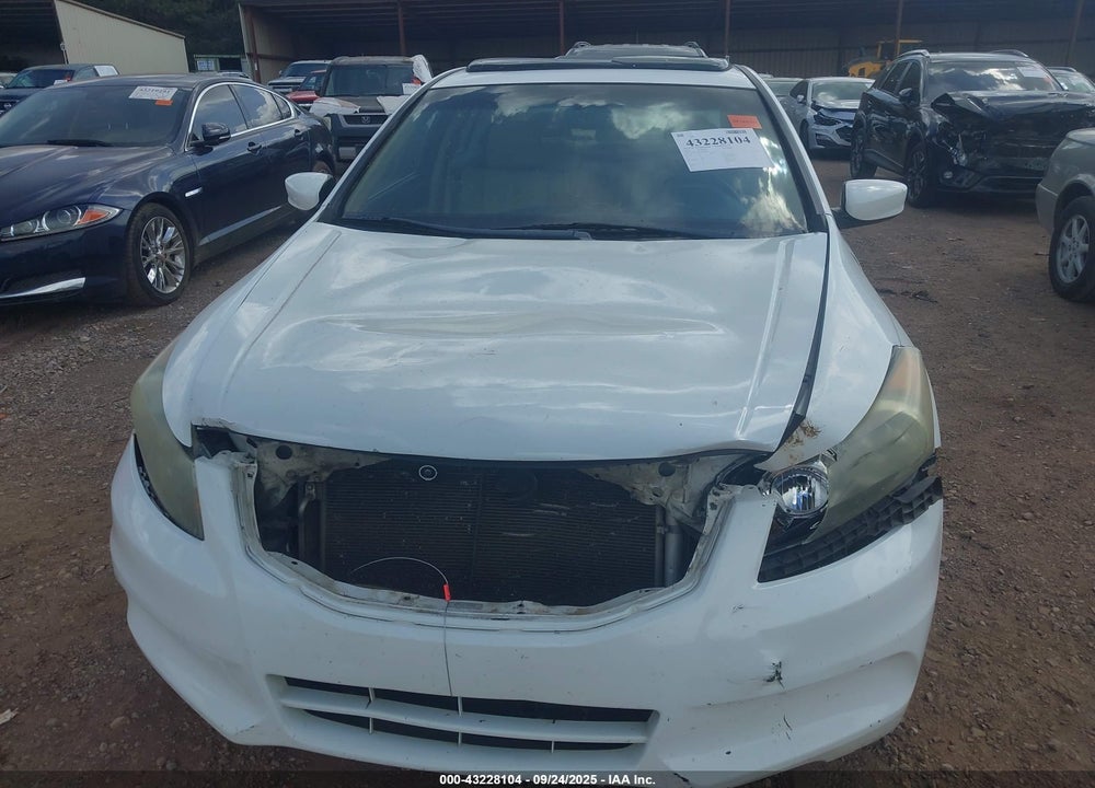 2011 HONDA ACCORD VIN: 1HGCP2F84BA082962