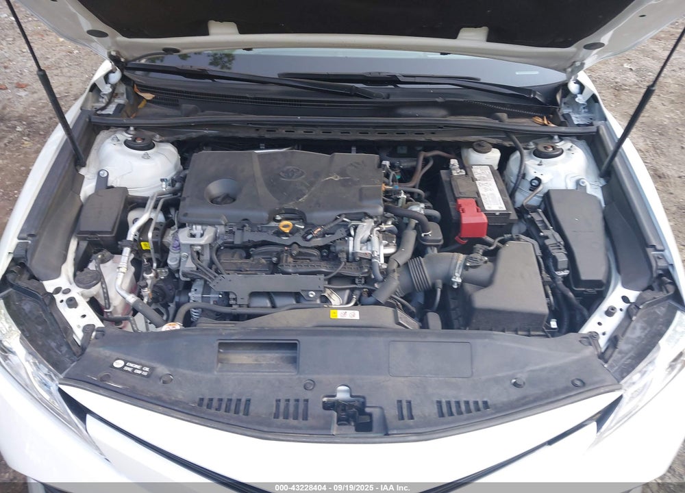 2020 TOYOTA CAMRY VIN: 4T1F11AK1LU355099