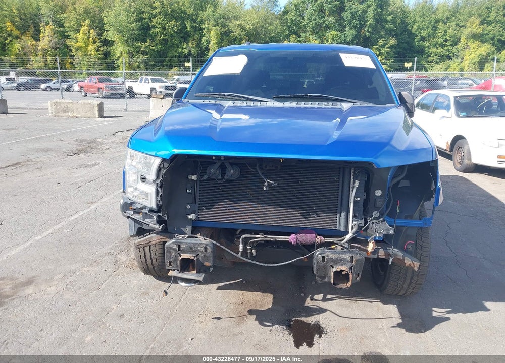 2015 FORD F-150 XLT VIN: 1FTEW1EF3FFA65759