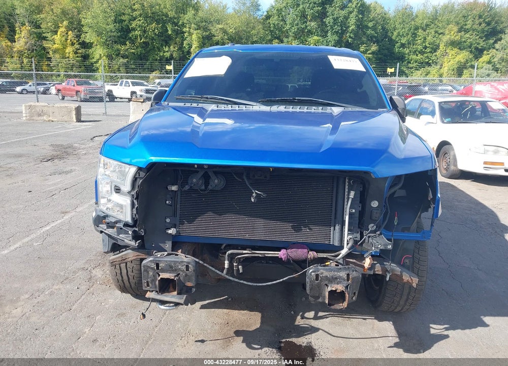 2015 FORD F-150 XLT VIN: 1FTEW1EF3FFA65759