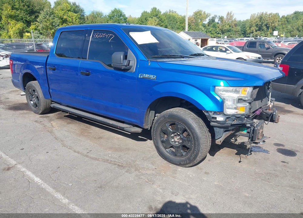 2015 FORD F-150 XLT VIN: 1FTEW1EF3FFA65759