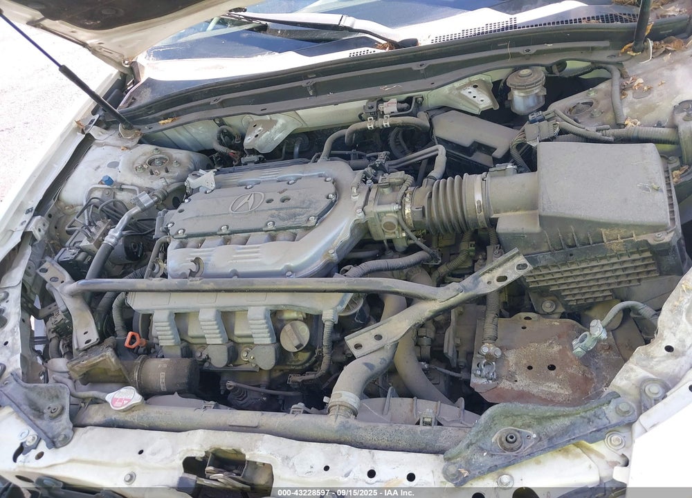 2010 ACURA TL VIN: 19UUA8F21AA021524