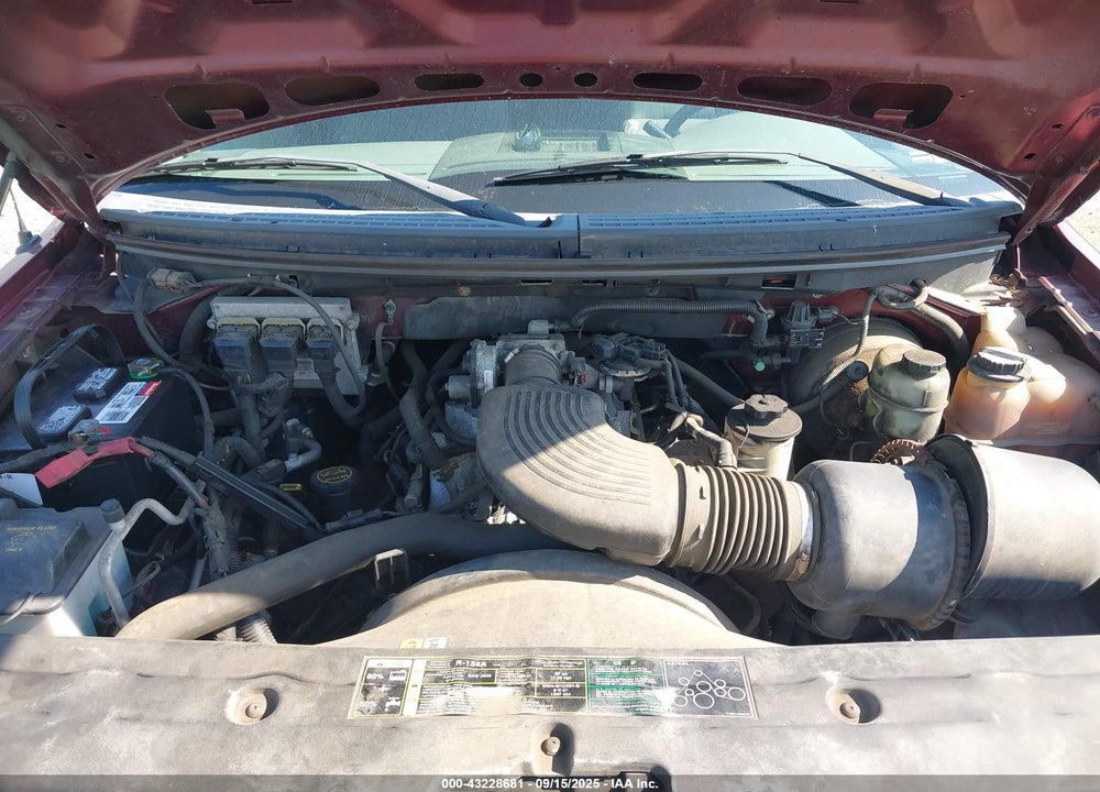 2004 FORD F-150 STX/XL/XLT VIN: 1FTRX12WX4NB71633