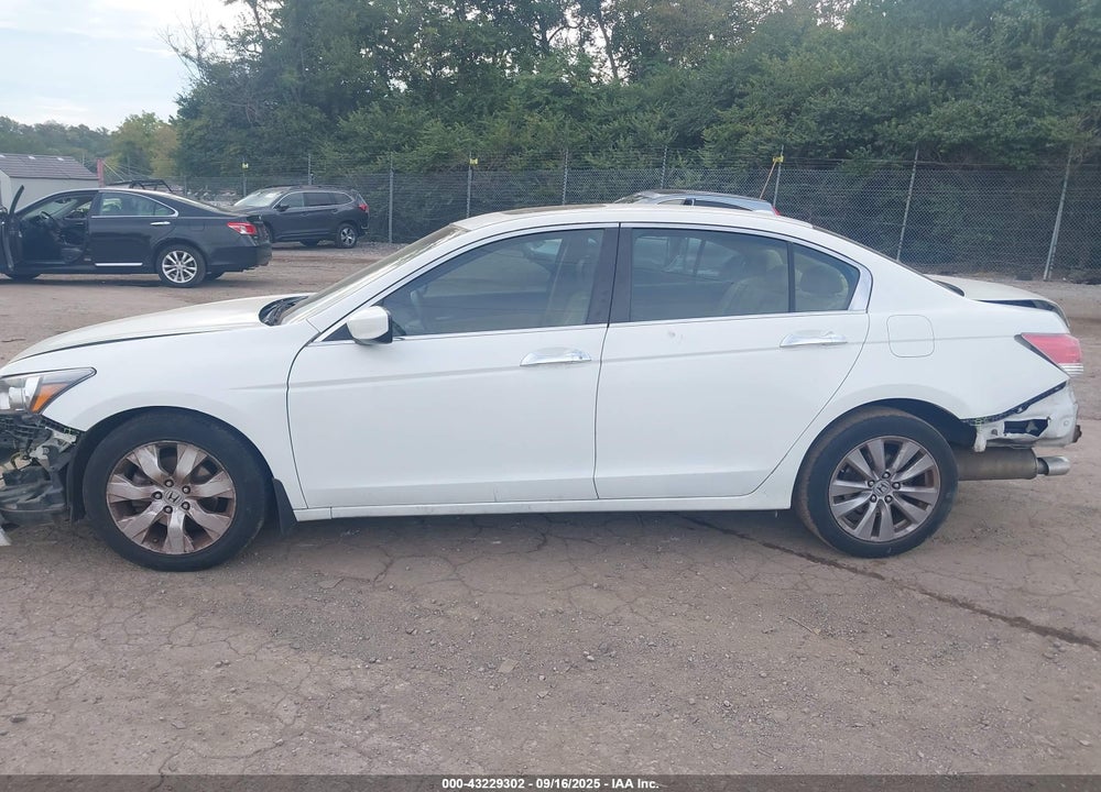 2011 HONDA ACCORD VIN: 1HGCP3F82BA024497