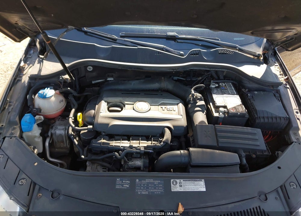 2010 VOLKSWAGEN PASSAT VIN: WVWJM7AN1AE068341