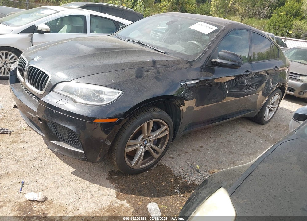 2013 BMW X6 VIN: 5YMGZ0C52D0C40145